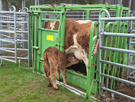 Náramně jsme si to užili!